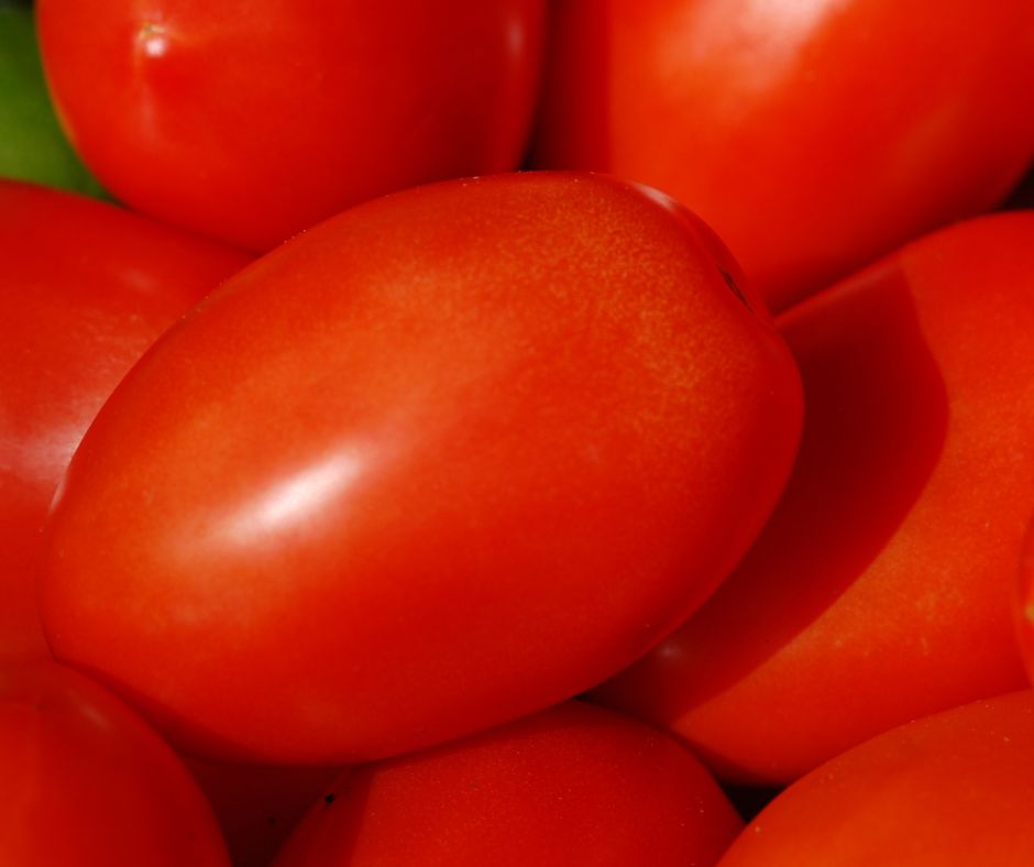Red ripe roma tomatoes.