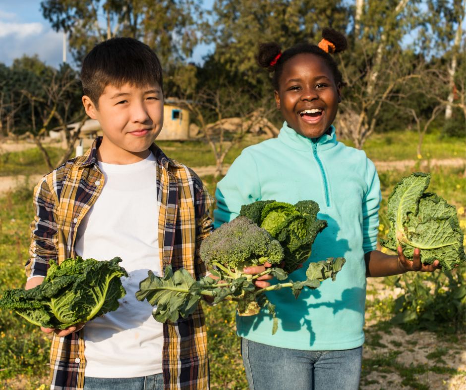 Kids holding up lettuce, cabbage, and broccoli they harvested from a fall garden.