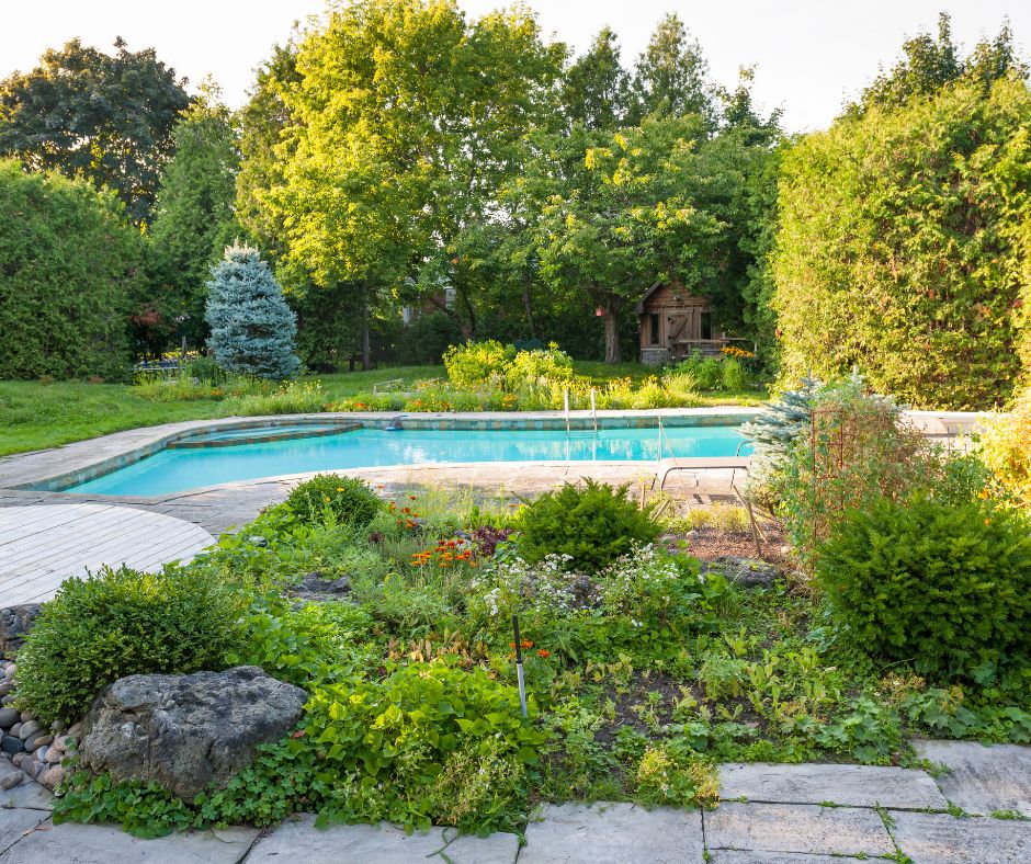 A mix of ground covers in a landscape including a pool.
