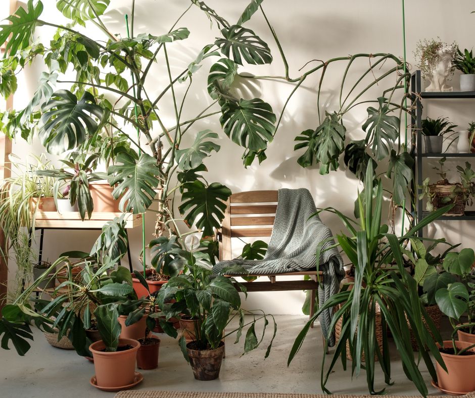 A pleasant indoor seating area surrounded by lush plants.