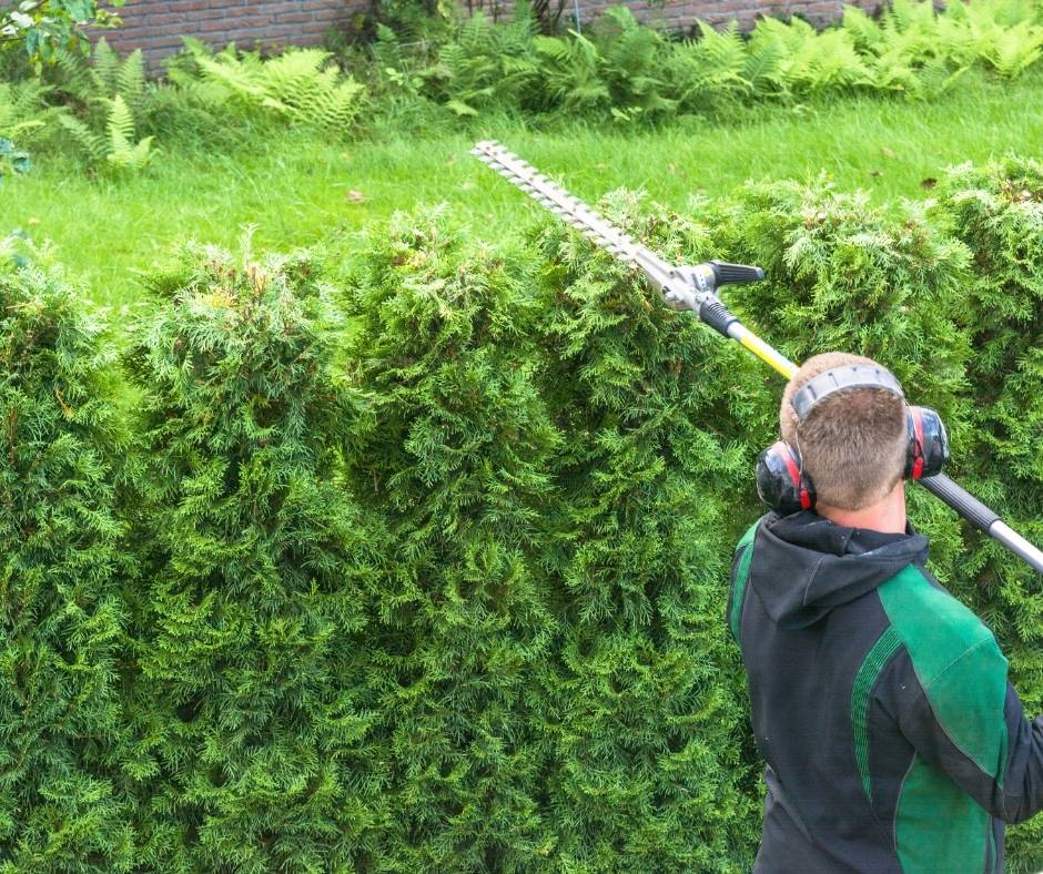 A man using an angled gas powered hedge trimmer.