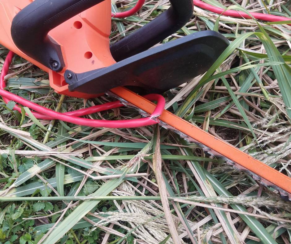 An orange electric hedge trimmer with a red cord tangled in it blade.