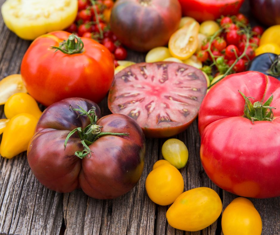 An assortment of colorful heirloom tomatoes.