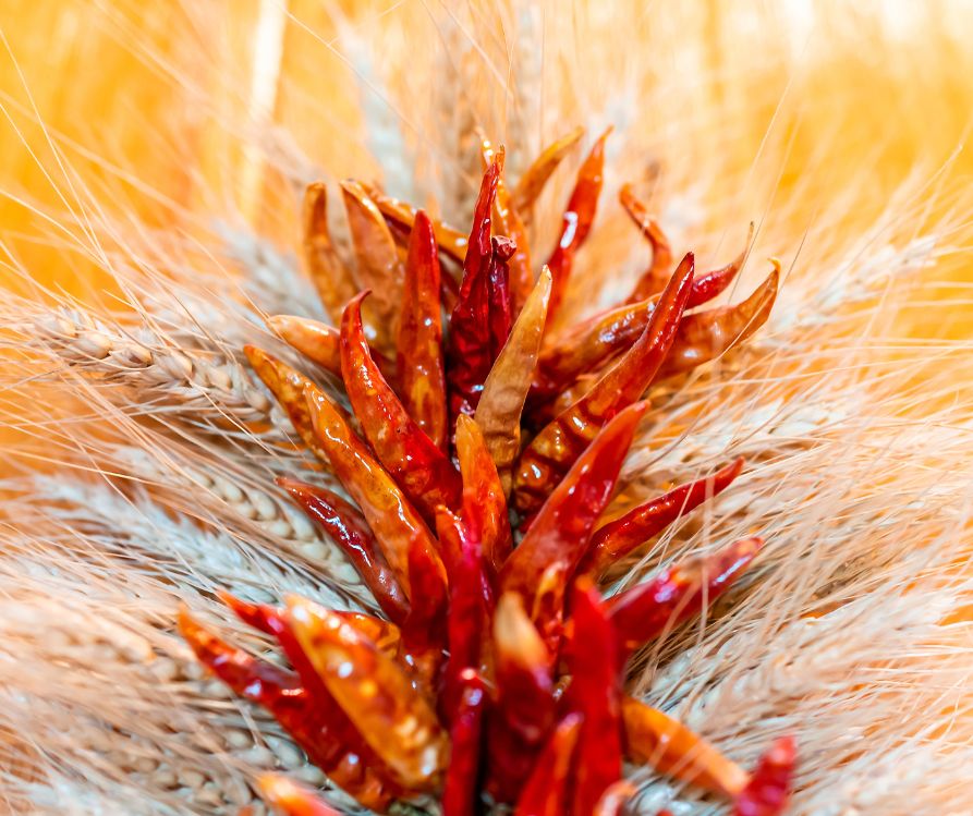 A red chili and dried wheat door hanger.