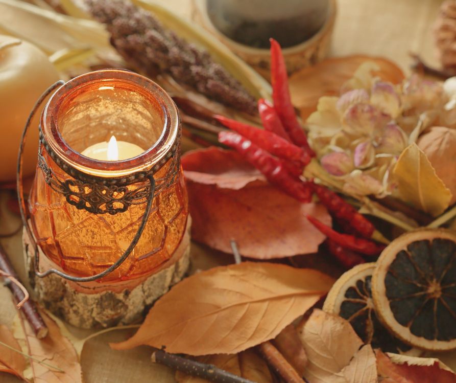 A candle next to dried fall leaves, corn, citrus and herbs.