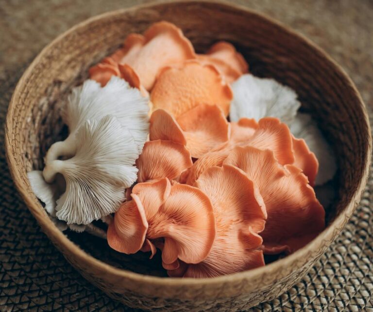 An earthen bowl of white and pink oyster musher on a table.