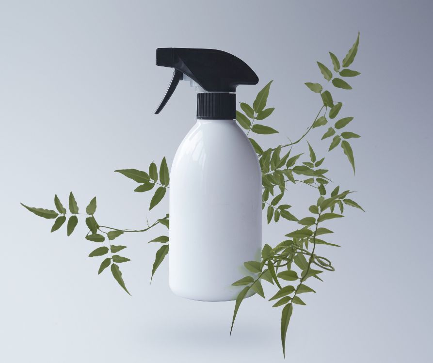 A white and black spray bottle surrounded by fern leaves.