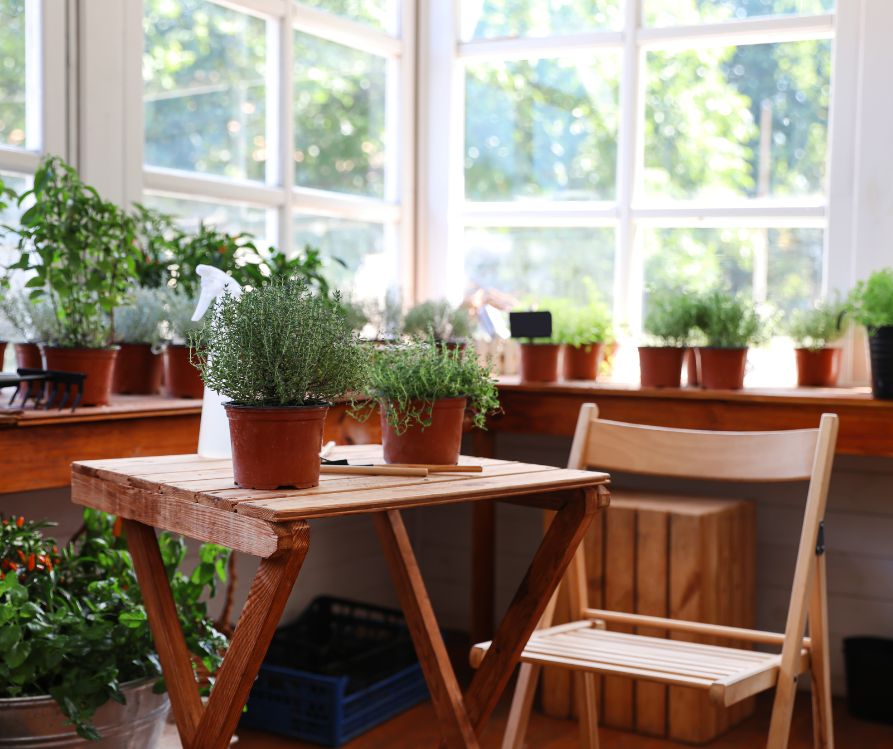 A large indoor herb garden set up in sunroom.