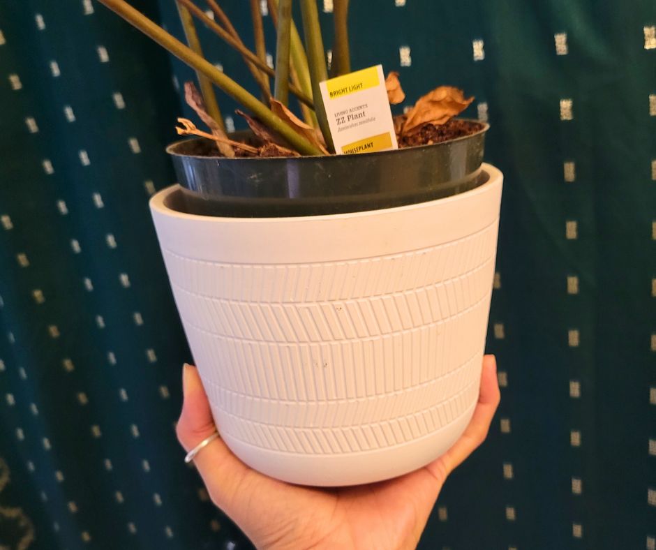A small nursery pot inside a larger decorative ceramic white pot.