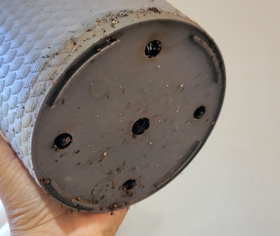 A gardener holding up a grey indoor plant pot to check its drainage holes.