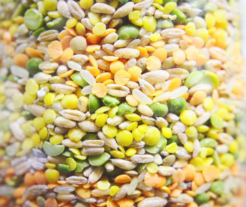 A jar of brightly color dried peas, rice and other vegetables for quick fall meals.