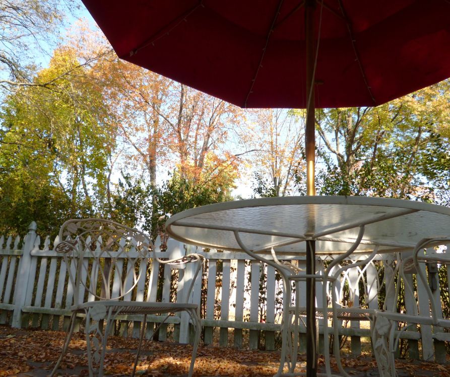 A patio table with a red umbrella next to a white fence and trees with yellow falling leaves.
