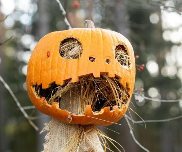 A orange jack-o-lantern atop a scarecrow body.
