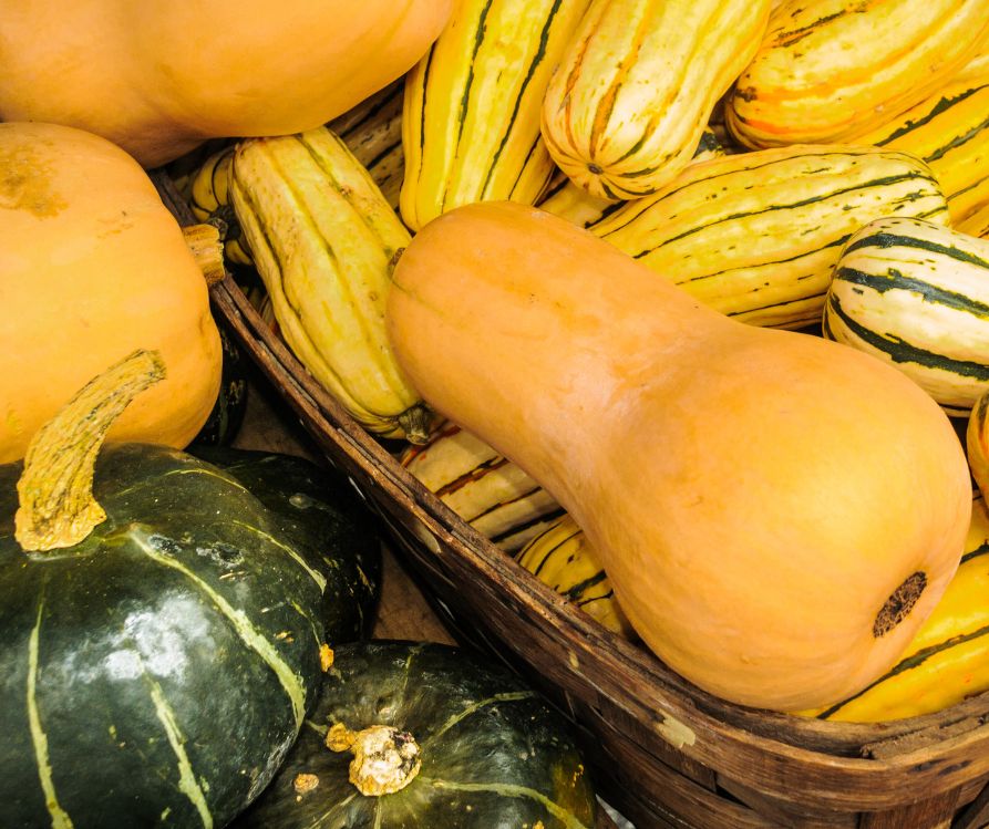 A selection of warmly colored winter squash.