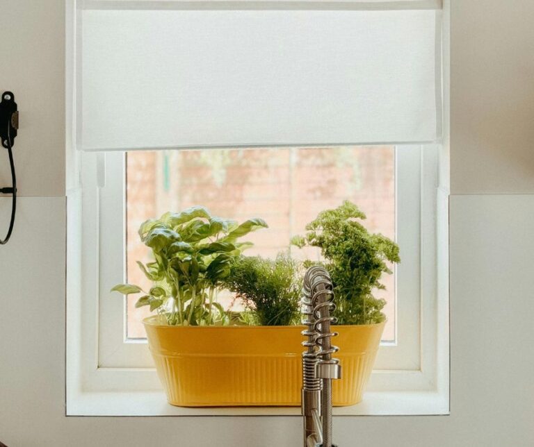 Plants growing in a yellow contain placed on the sill of a bright window.