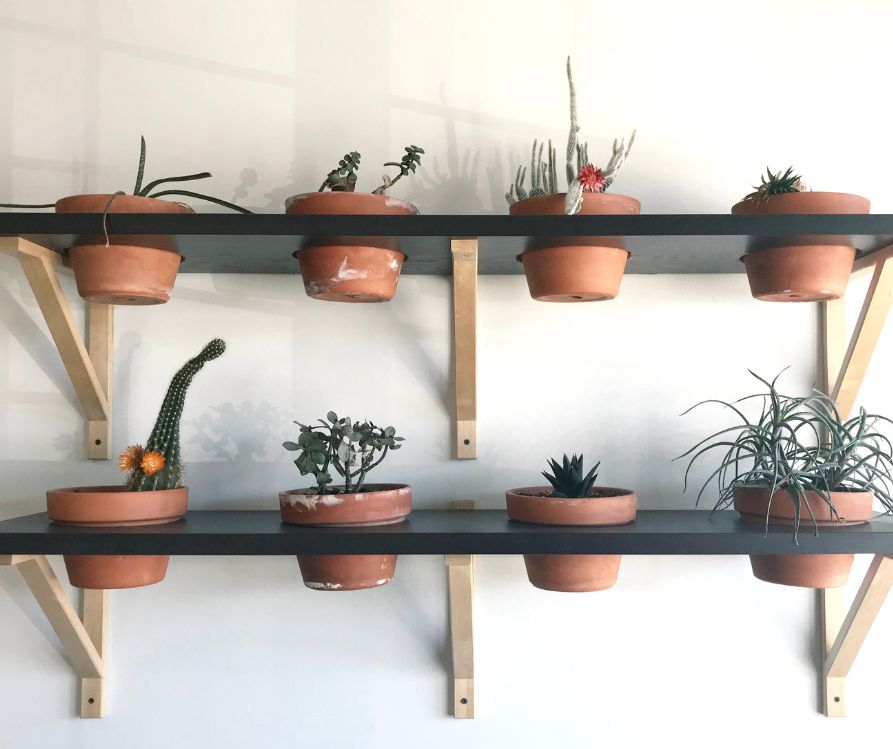 A variety of succulent plants double potted into wall mounted terra cotta pots.