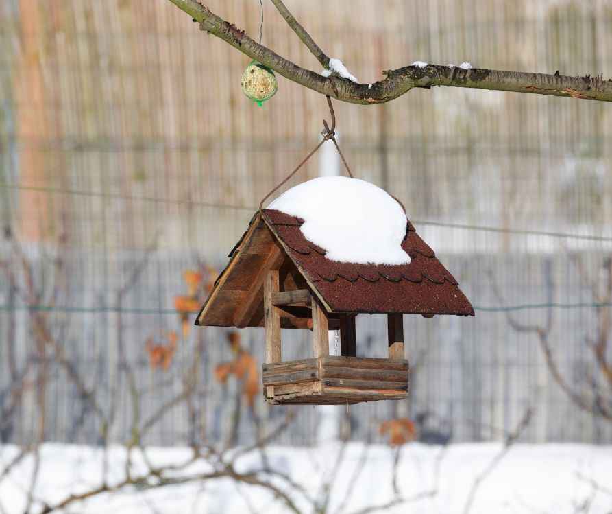 A simple wooden bird feeder hanging from a tree in winter.