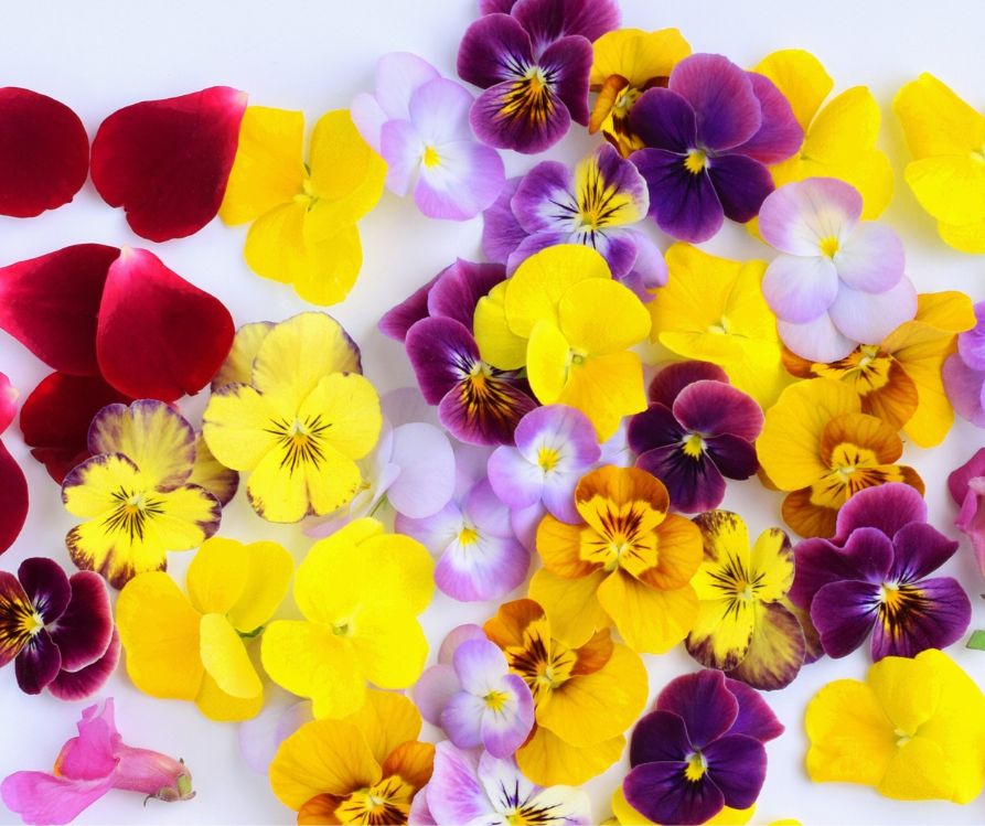 A mix of brightly colored flowers including roses, pansies and marigolds.
