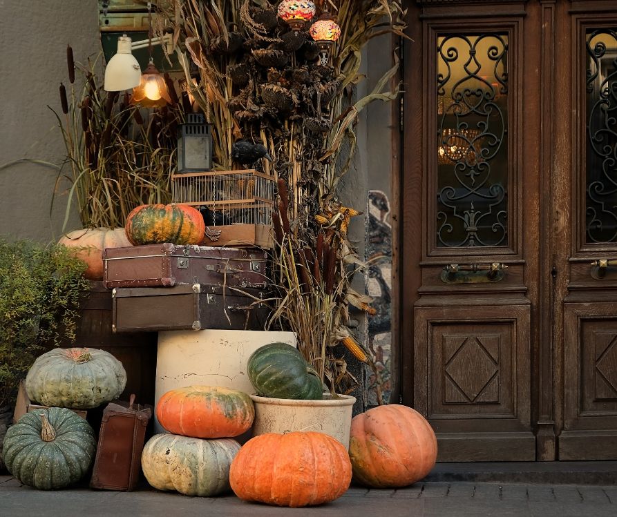 Dried corn stalks, pumpkins of many colors and sizes used as Halloween Harvest decorations.