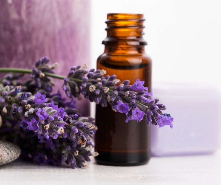 An amber jar of essential oil next to cut lavender flowers.