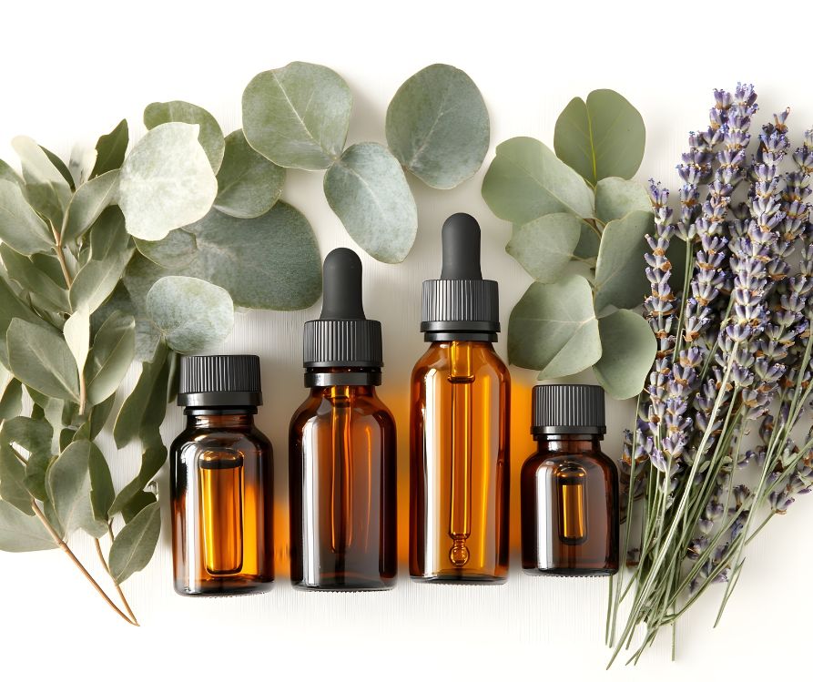 A selection of essential oils and their corresponding botanical. Including lavender, eucalyptus and citrus.