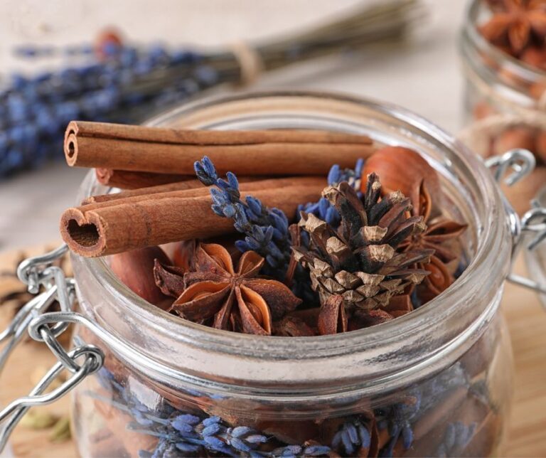 A mix of cinnamon, herbs, anise, and pinecones in a jar.