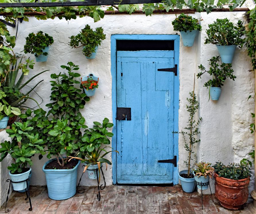 An adobe wall with a light blue door surrounded by potting plants on the ground and on the wall.