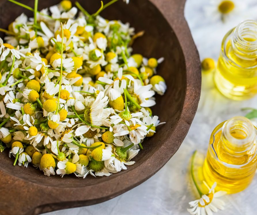 A wooden bowl of dried chamomile flowers.