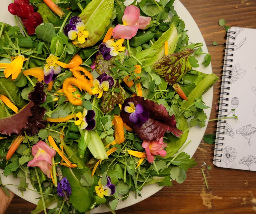An artfully presented fresh garden salad topped with edible flowers.