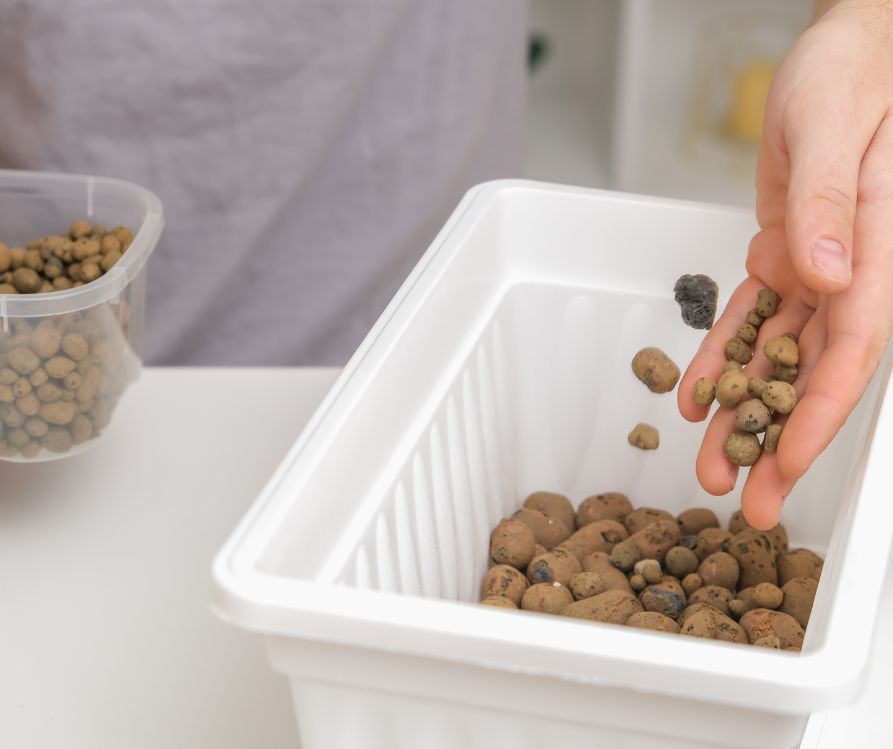 A person filling a grow box with expanded clay pebbles.