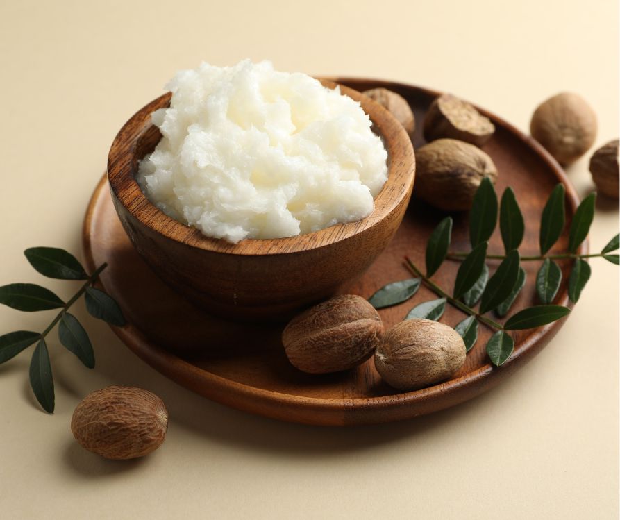 A wood bowl of white shea butter next to shea nuts and tree leaves.