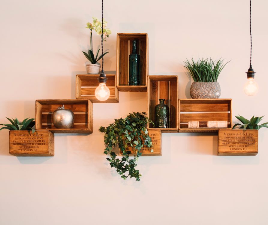 Indoor plants displayed on creatively arranged wall mounted planters.