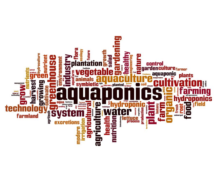Aquaponics word cloud