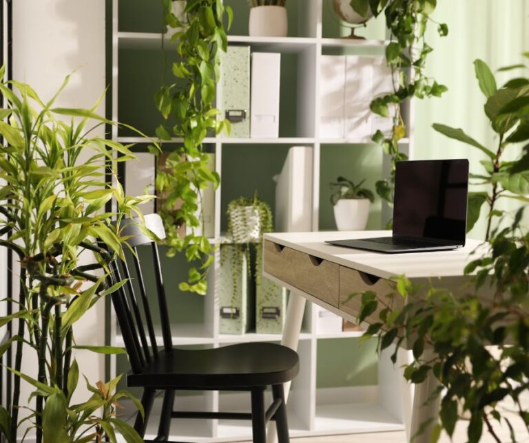 A home office with many air purifying houseplants.
