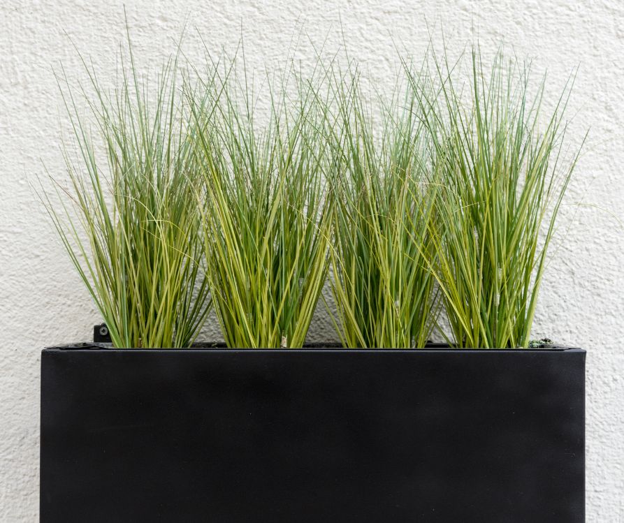 Black planter with grass.