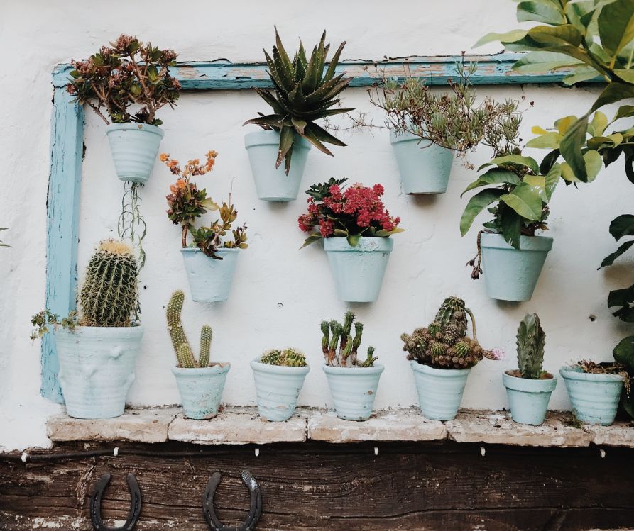 Painted pots arranged in a vertical wall. garden.