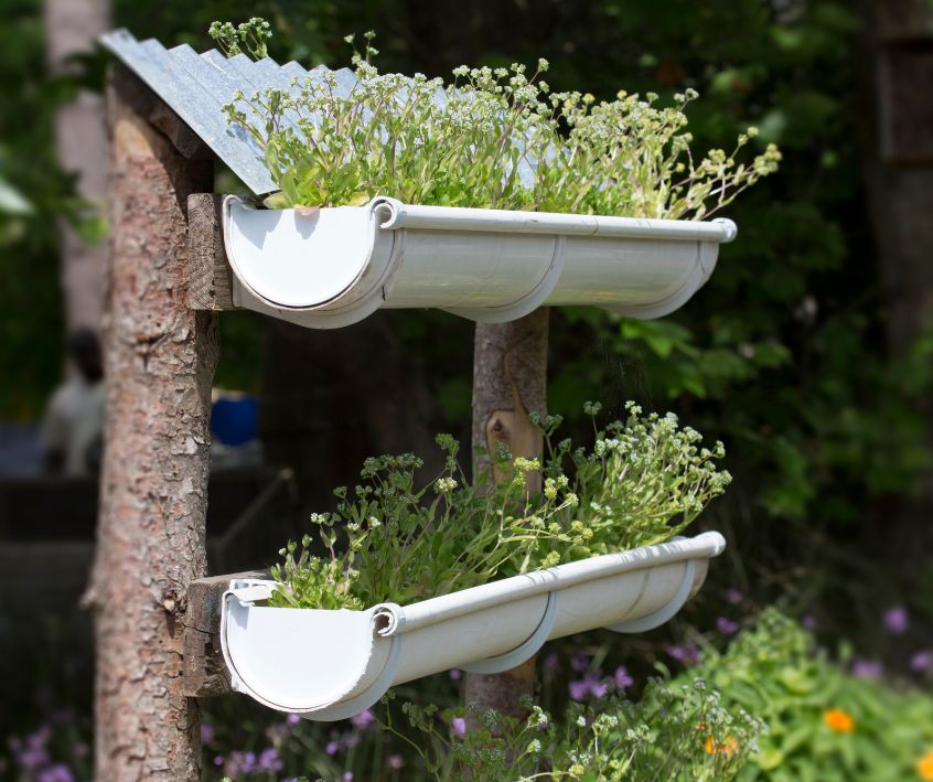 A small vertical garden made with train gutters.