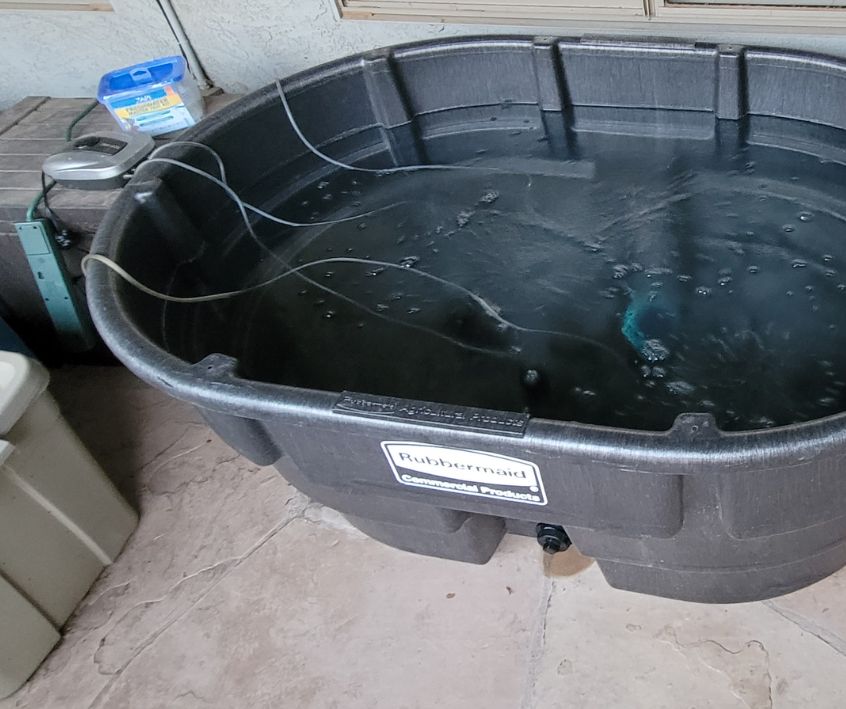 150 Gallon Rubbermaid Stock Tank Set up for Aquaponics Fish Tank