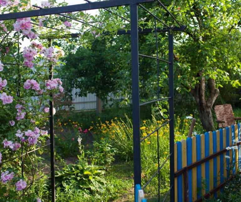 A flower garden and fruit tree in a backyard.