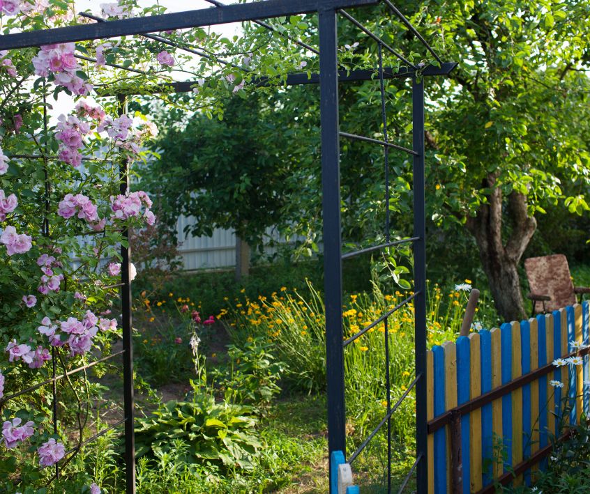 A flower garden and fruit tree in a backyard.