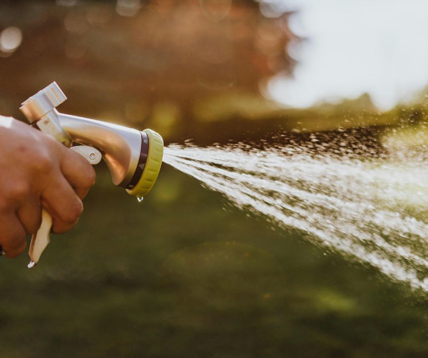 Person Spraying Garden with a water hose.
