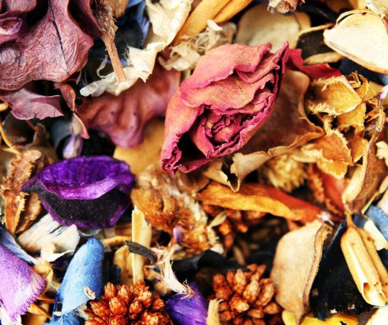 A potpourri mix of dried flowers and herbs.