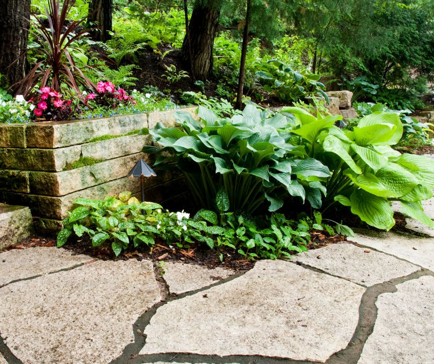 A small green shade garden tucked into a stone patio.