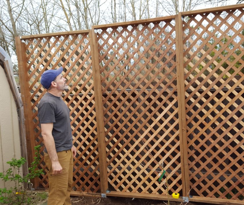 Mark Brittenburg standing next to the wood lattice privacy screen panels he built to block a neighbor's view.