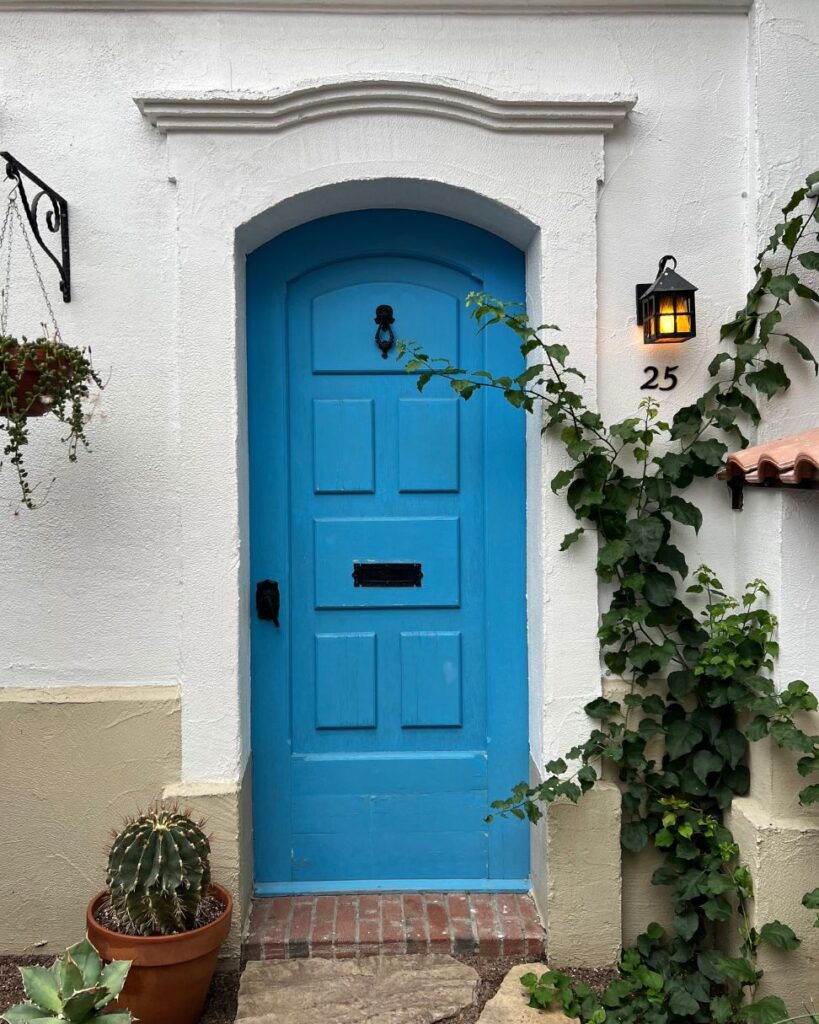 A turquoise front door framed by a climbing plant and a potted cactus. 