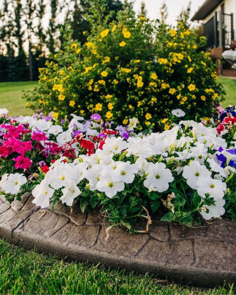 Colorful and bright flower beds outside a home bringing lots of curb appeal