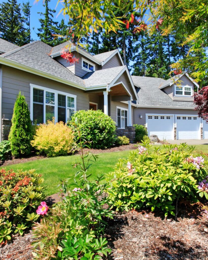 Simple front yard landscaping consisting of low shrubs a large tree and grass.