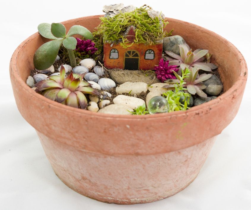 Fairy Garden in a Terra Cotta Pot with a small fairy house decorated with succulent plants.