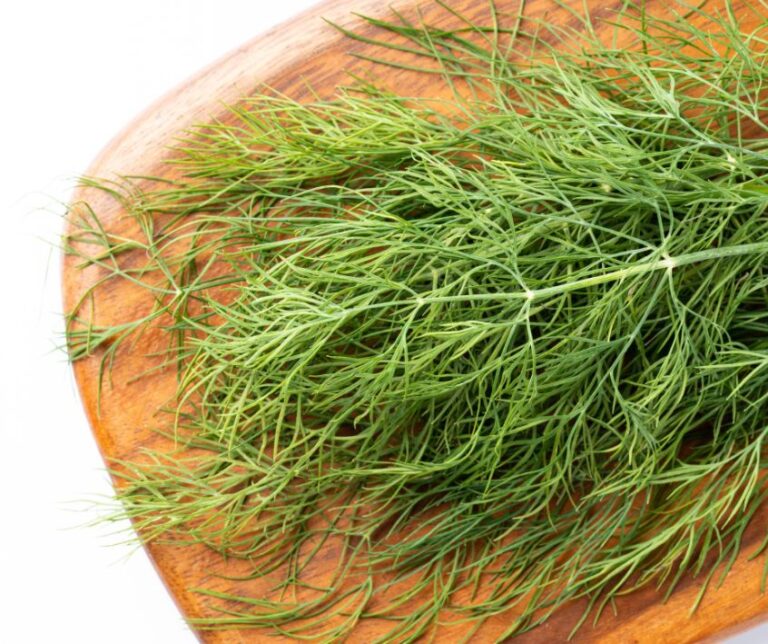 Freshly harvested dill fronds on a wooden cutting board.