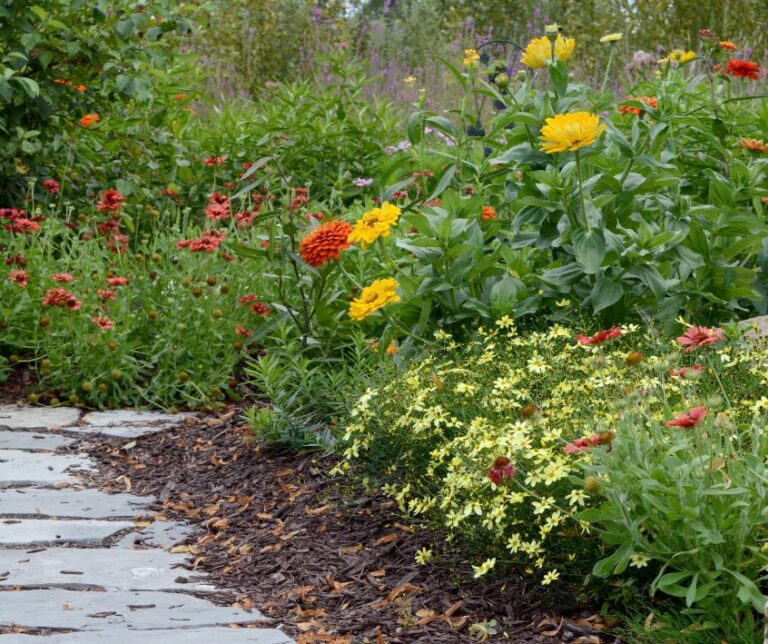 Red and yellow flowers next to path in a Butterfly Garden.